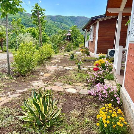 Baven -Toven Naturae Rubik Εξωτερικό φωτογραφία