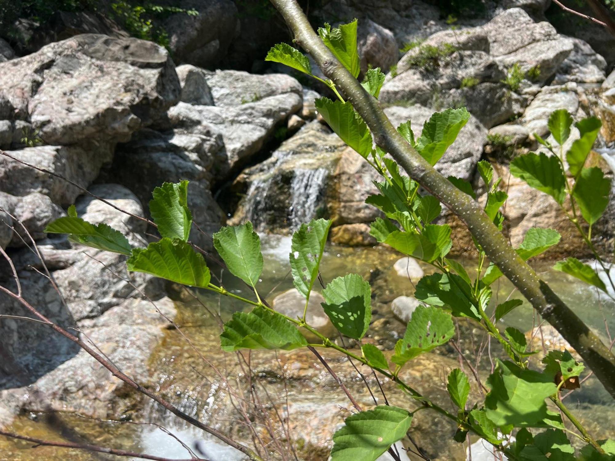 Baven -Toven Naturae Rubik Εξωτερικό φωτογραφία